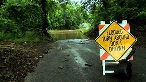 Turn Around Don't Drown